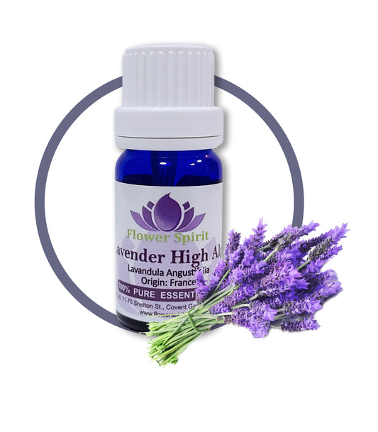 Lavender High Alps
